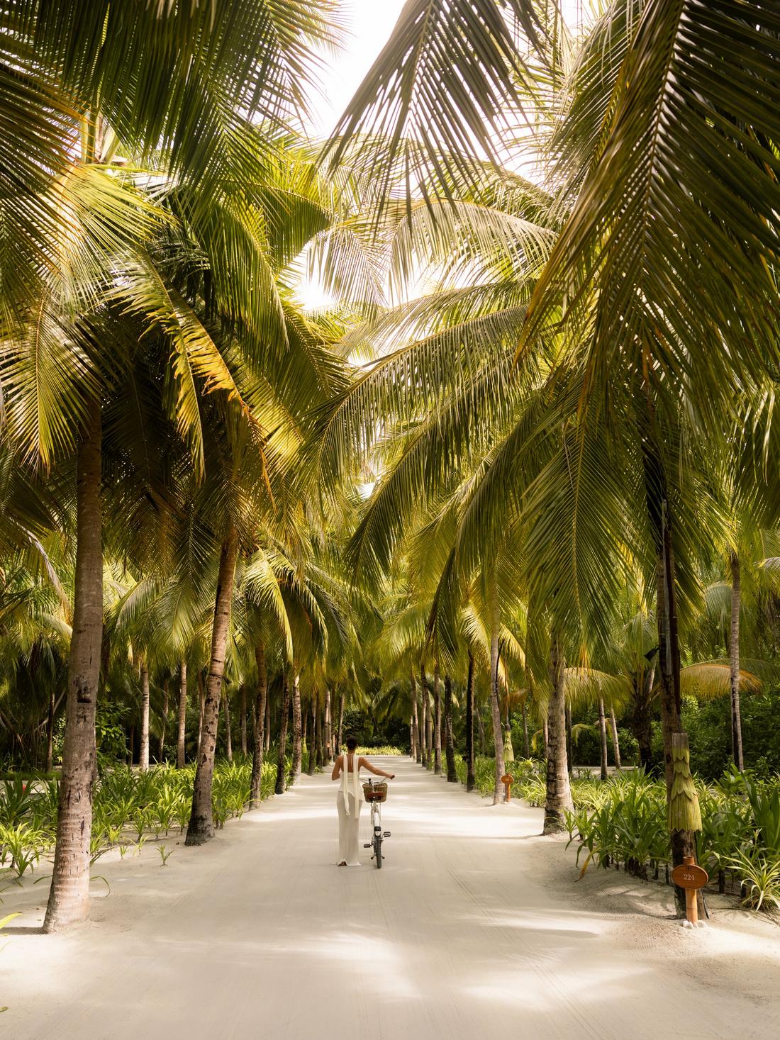 Island landscape at One&Only Reethi Rah