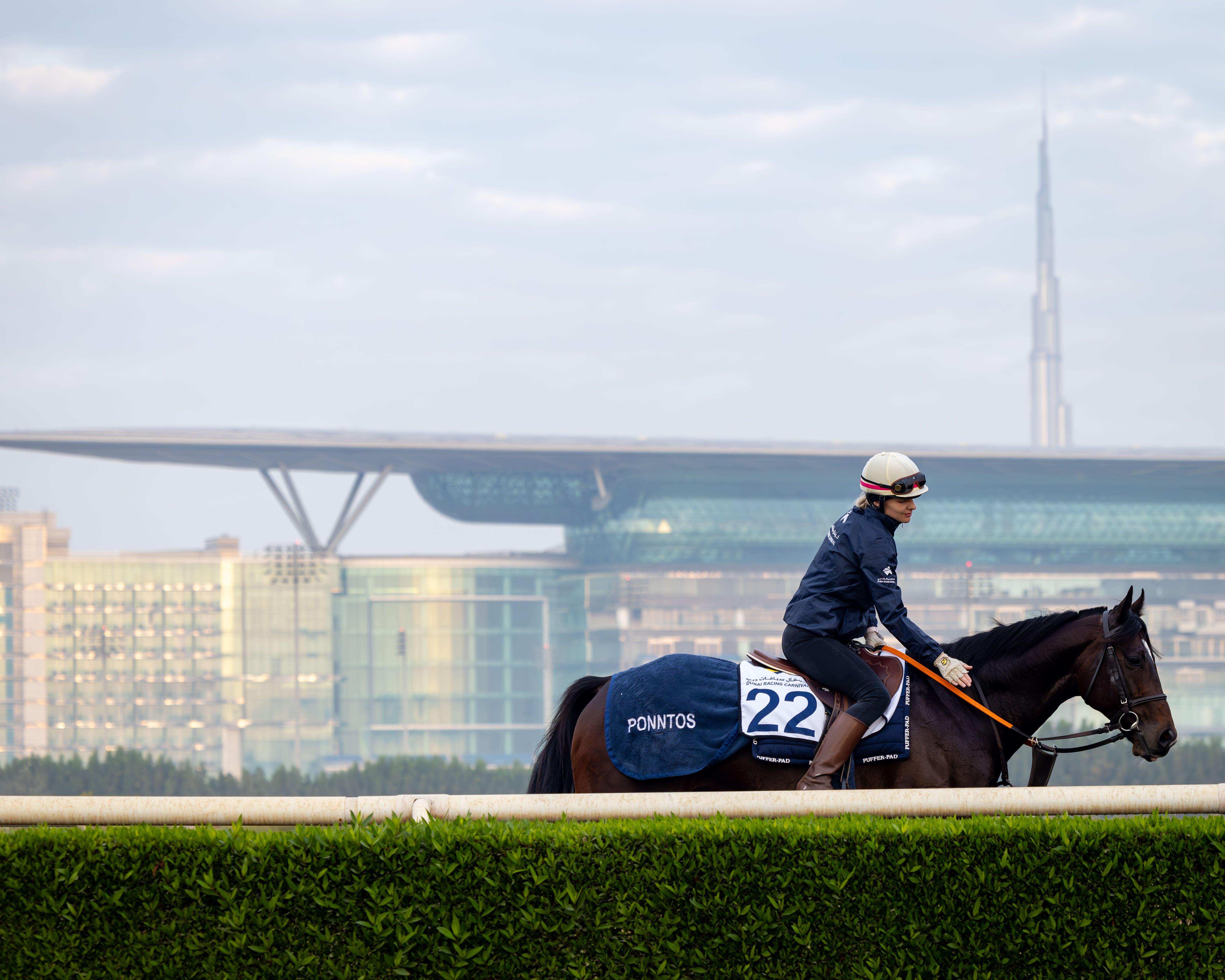 Horse race in Dubai 