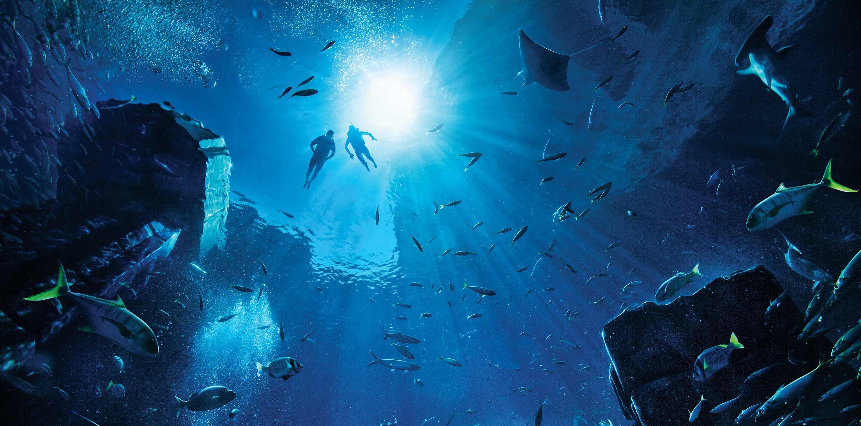 Aquarium