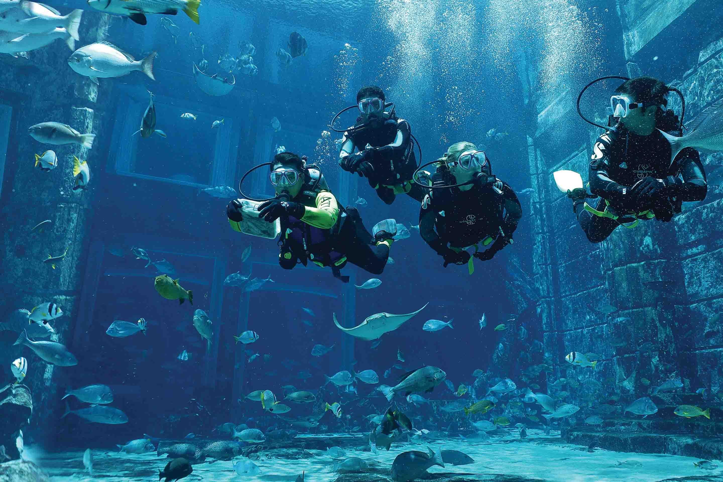Dive Explorer