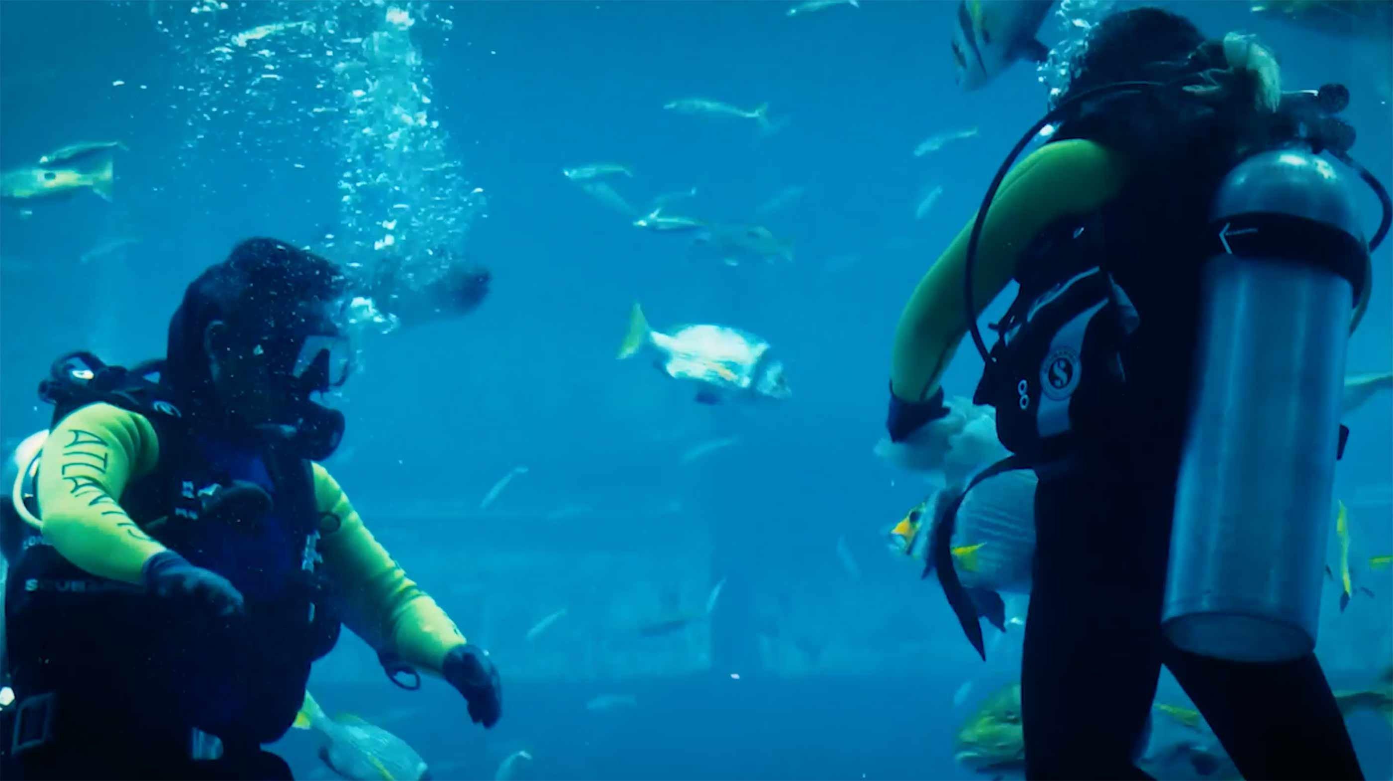 Atlantis The Palm Aquarium