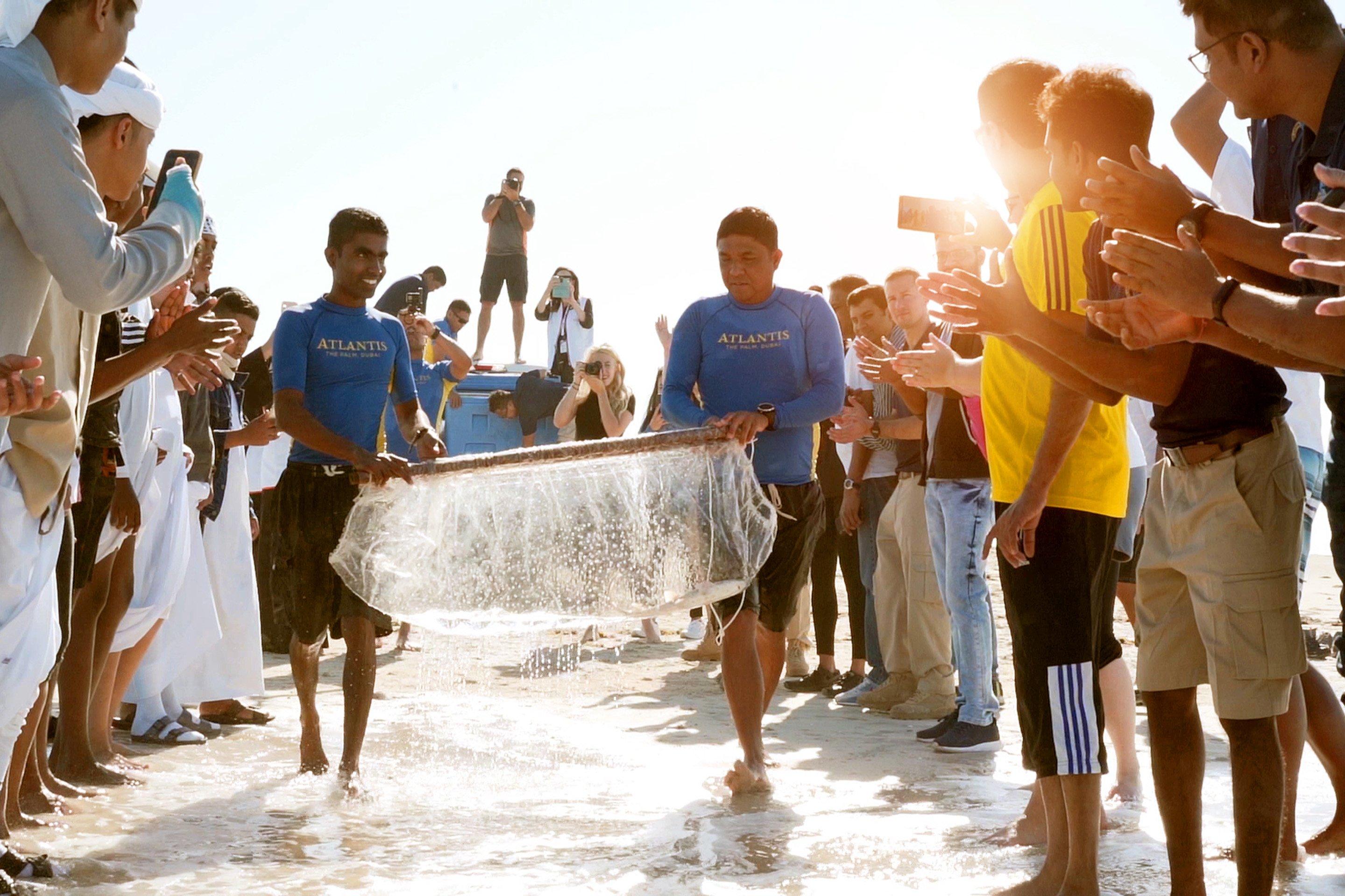 Shark Release