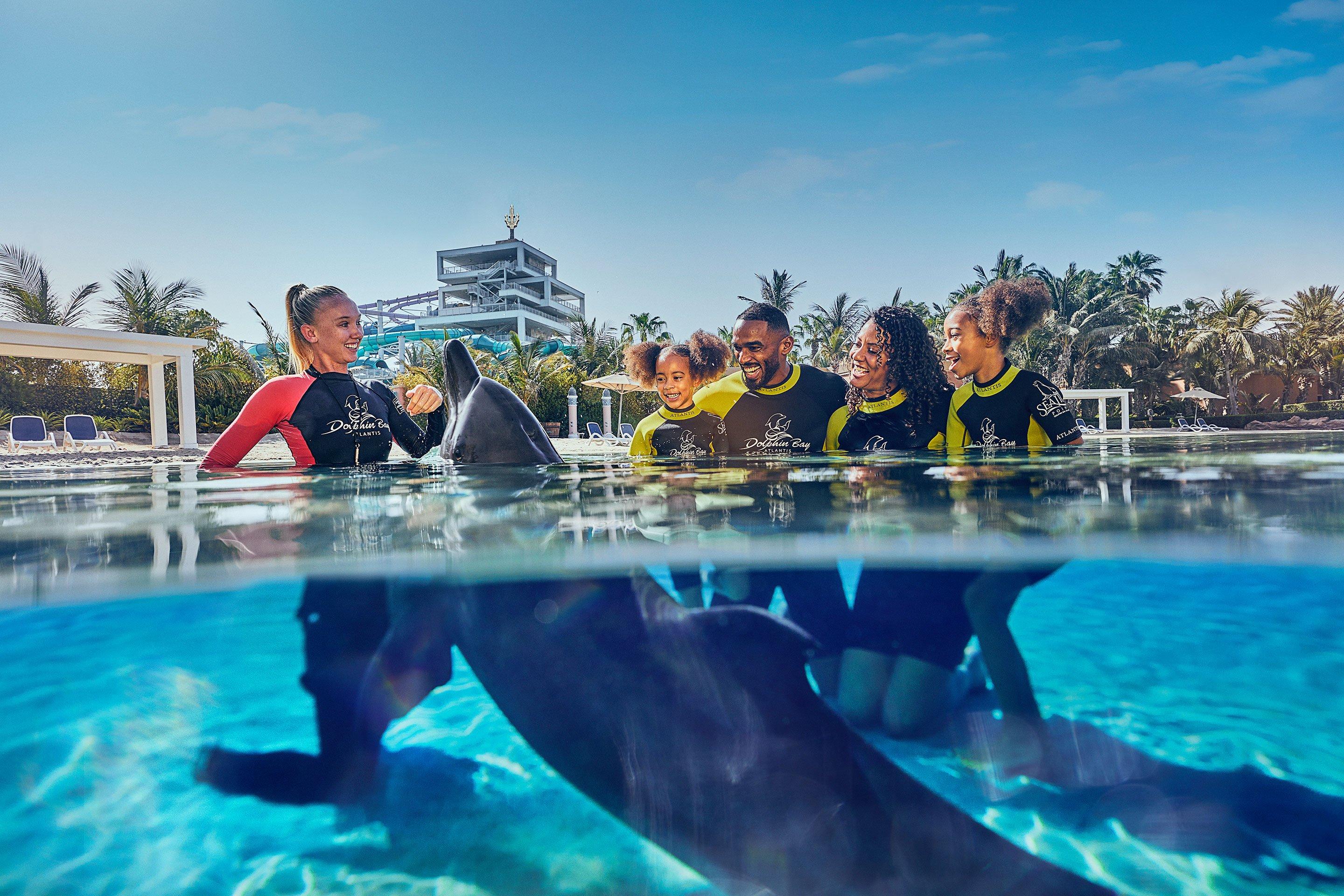 Dolphin encounter