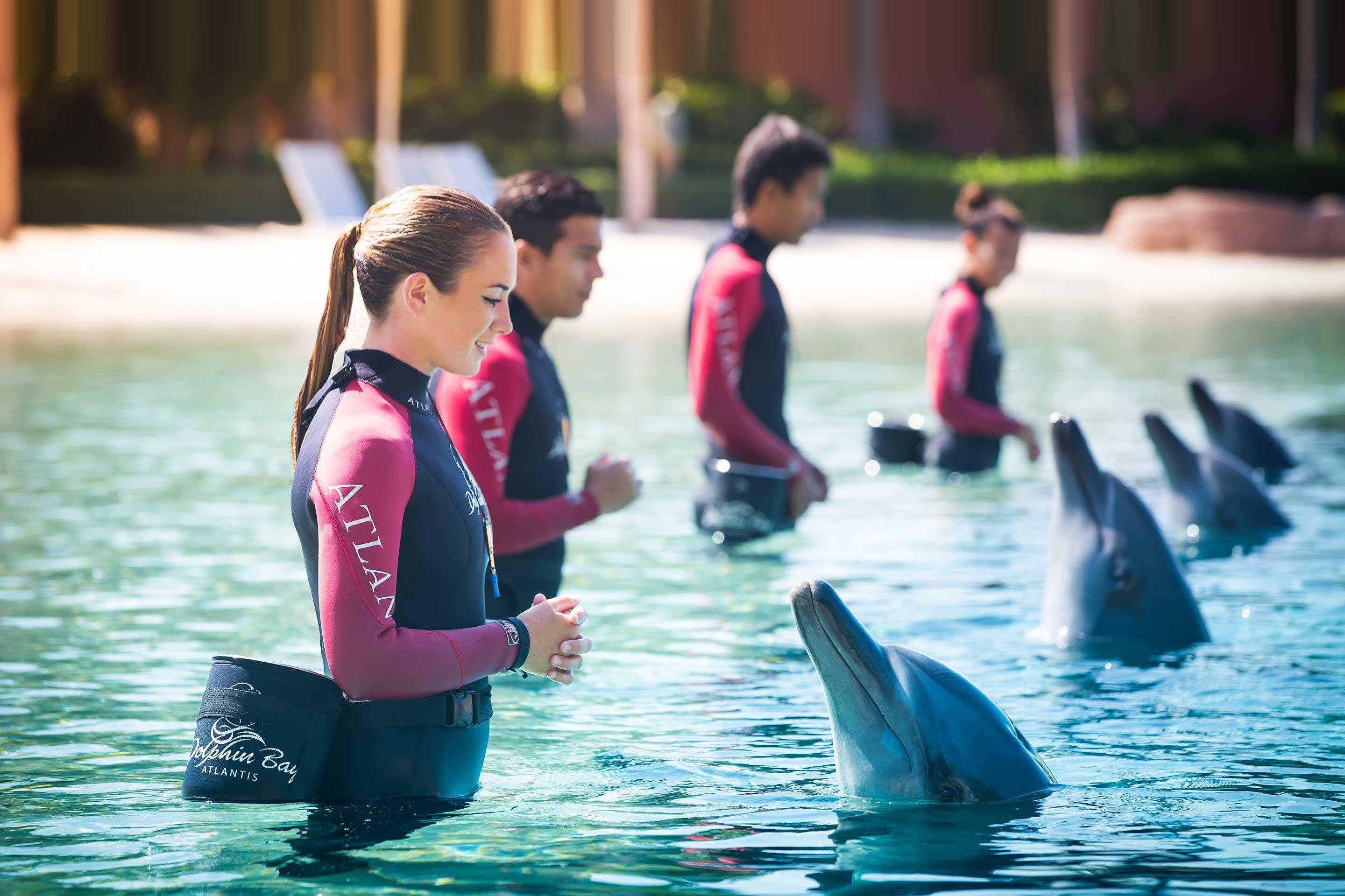 Dolphin Bay