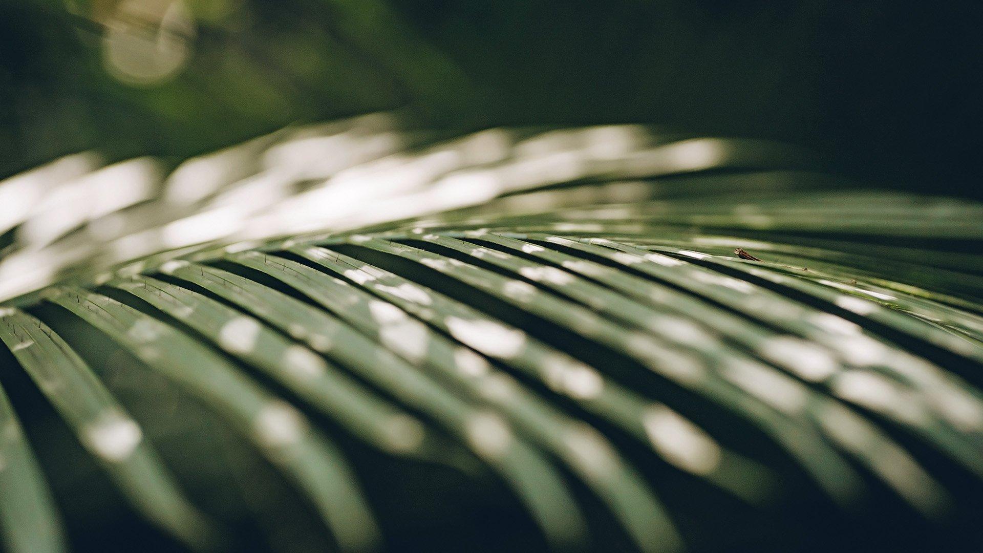 Leaf static
