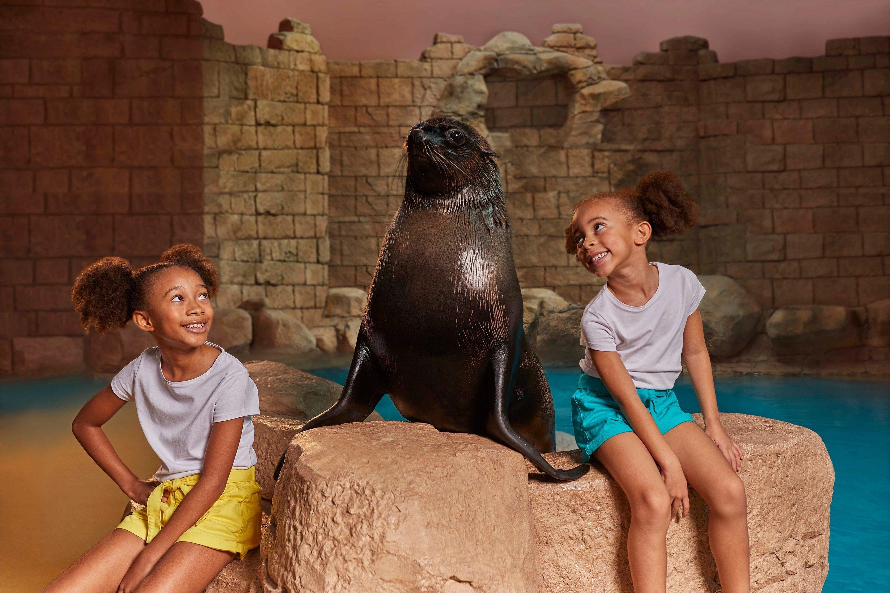 Sea Lion Meet and Greet