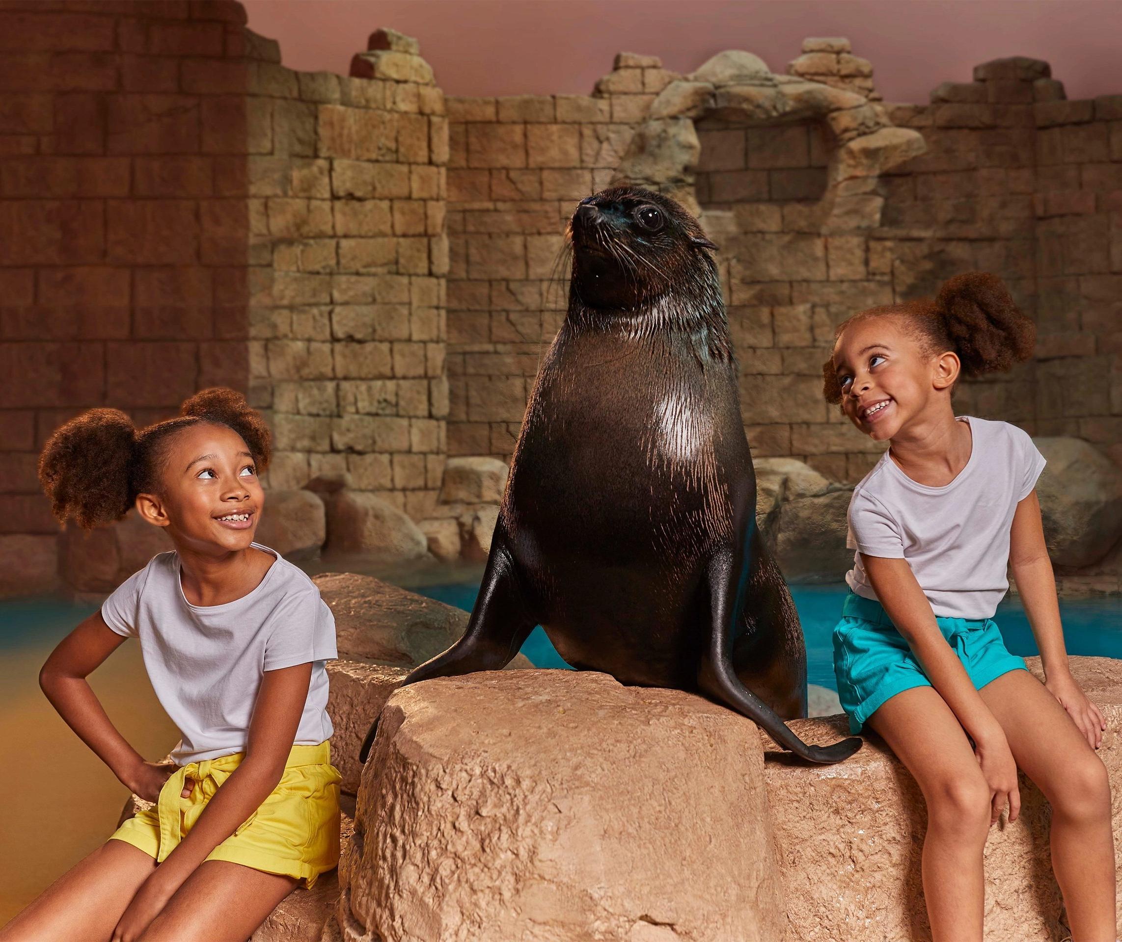 Sea lion Meet and Greet 