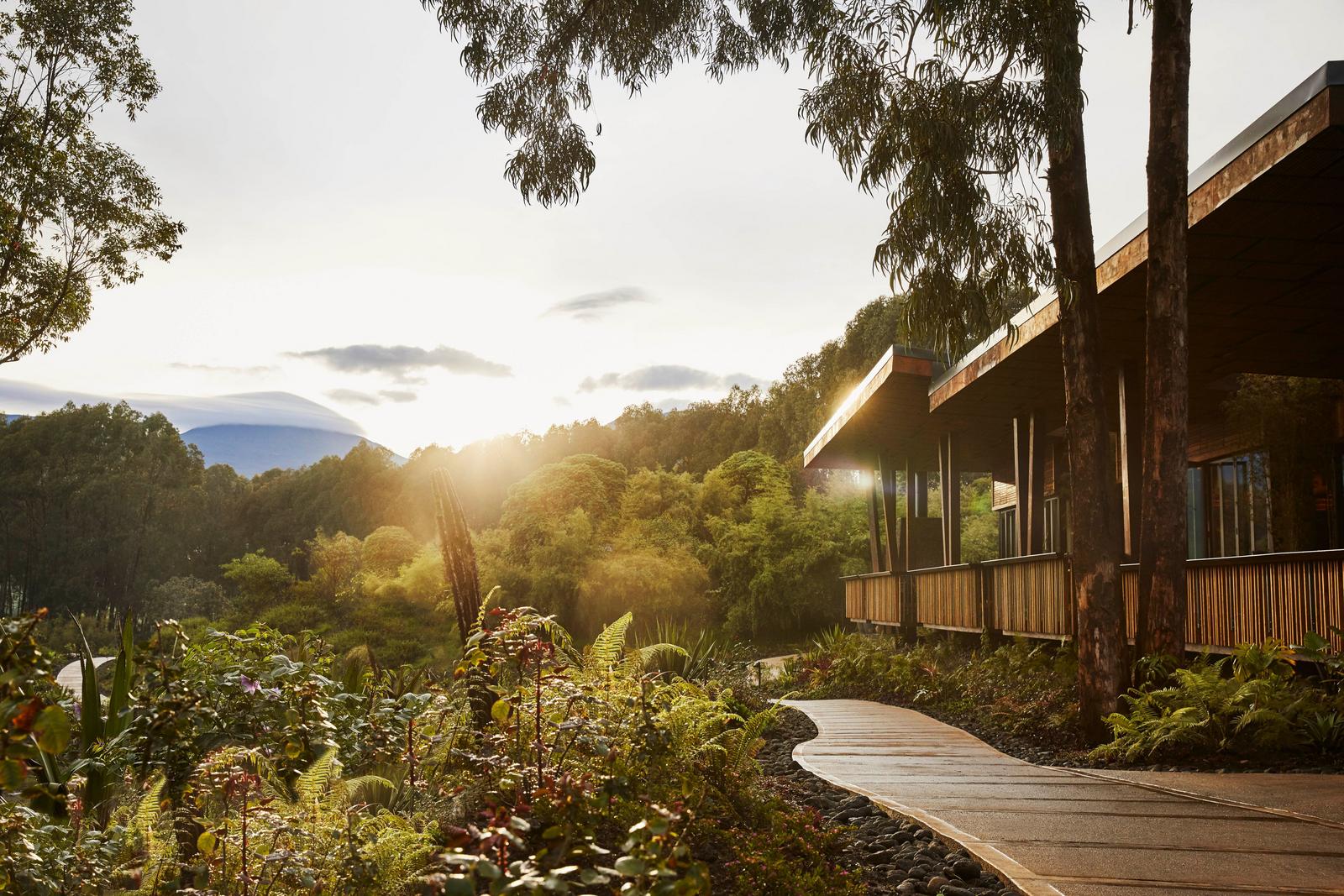 Accommodation and garden pathway at One&Only Gorilla's Nest