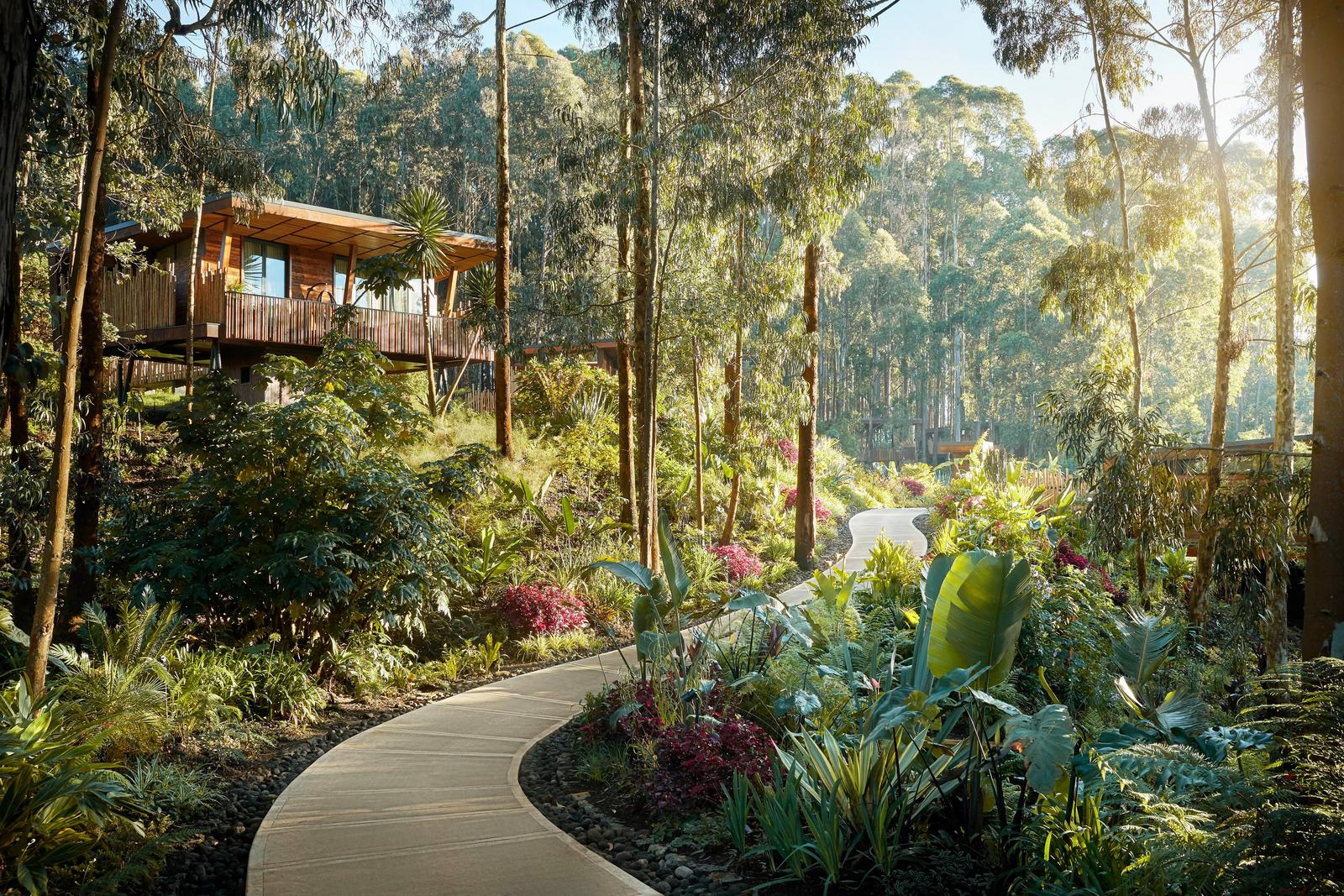 Forest paths and accommodation at One&Only Gorilla's Nest