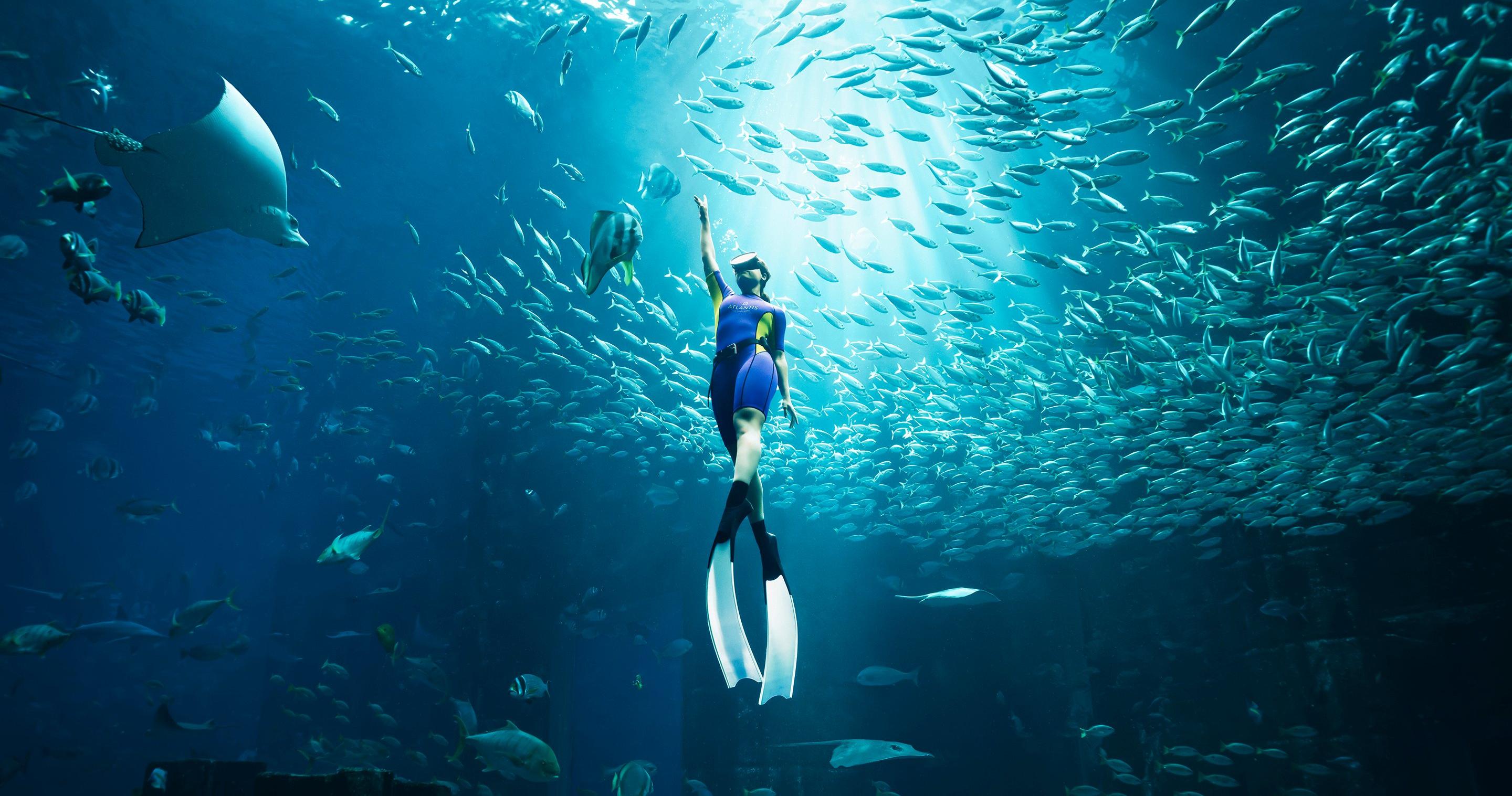 Ambassador Lagoon at Atlantis, The Palm