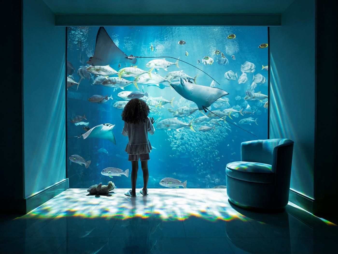 Atlantis The Palm
