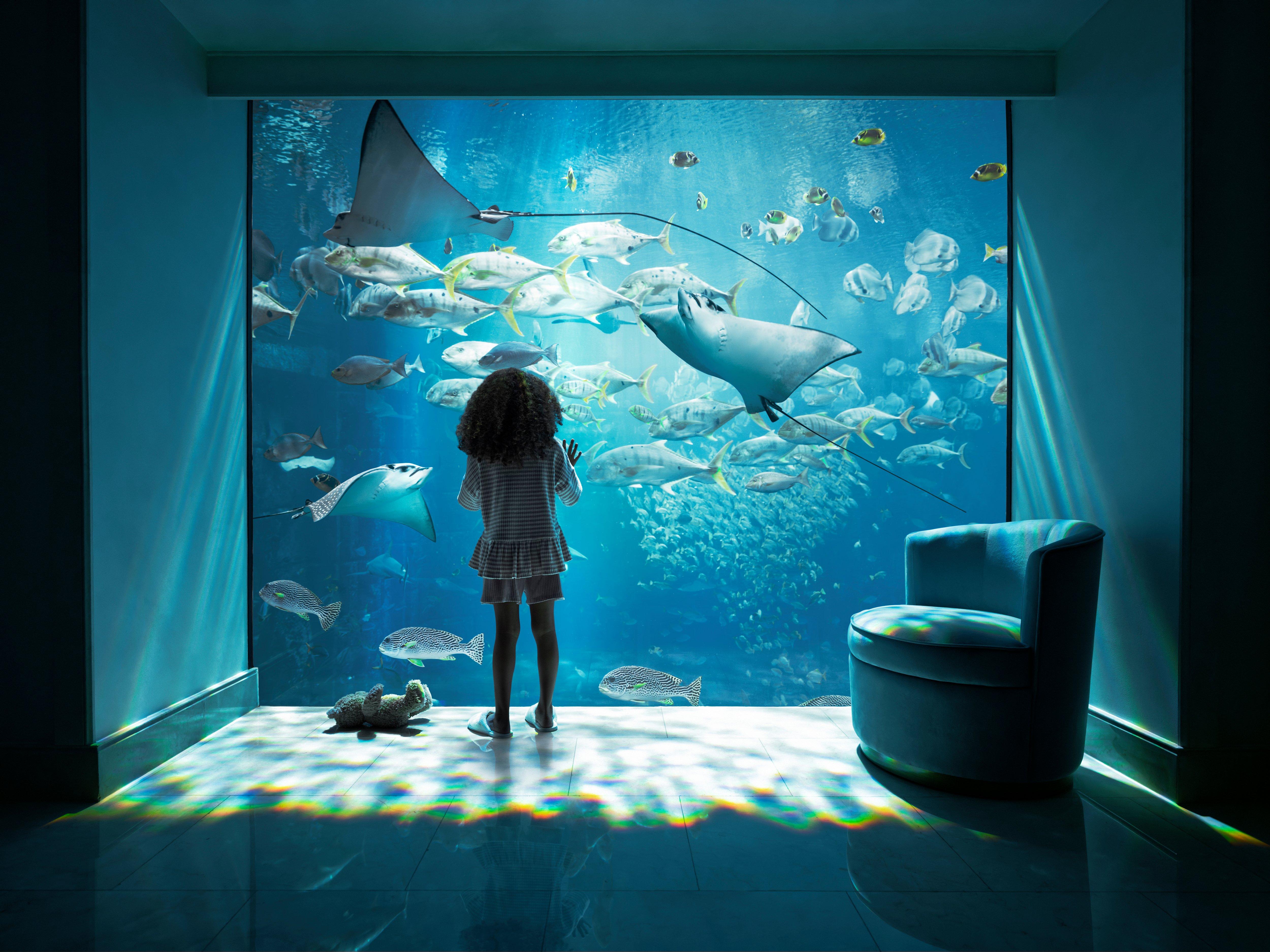ATP underwater suite