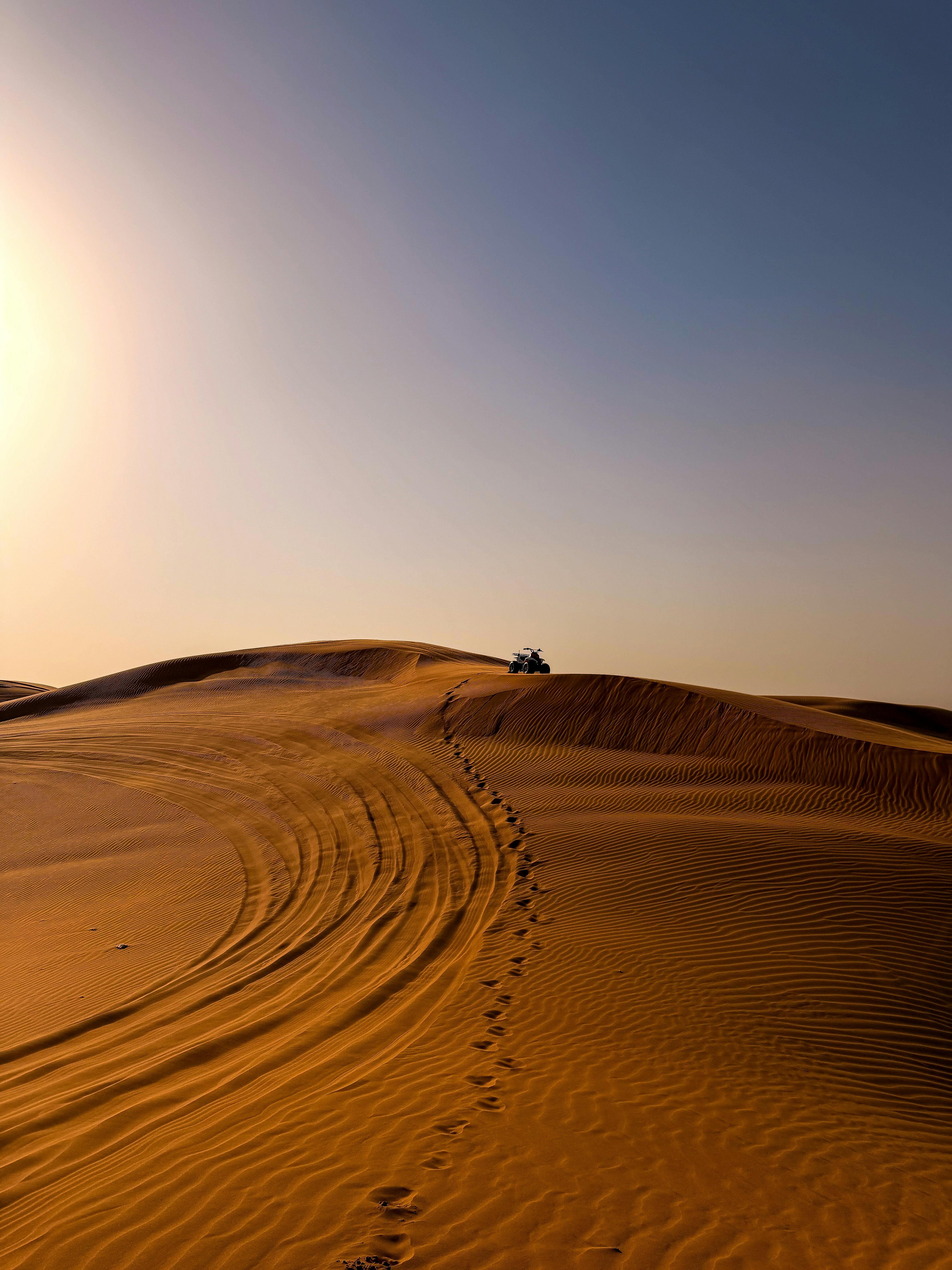 Desert Safari