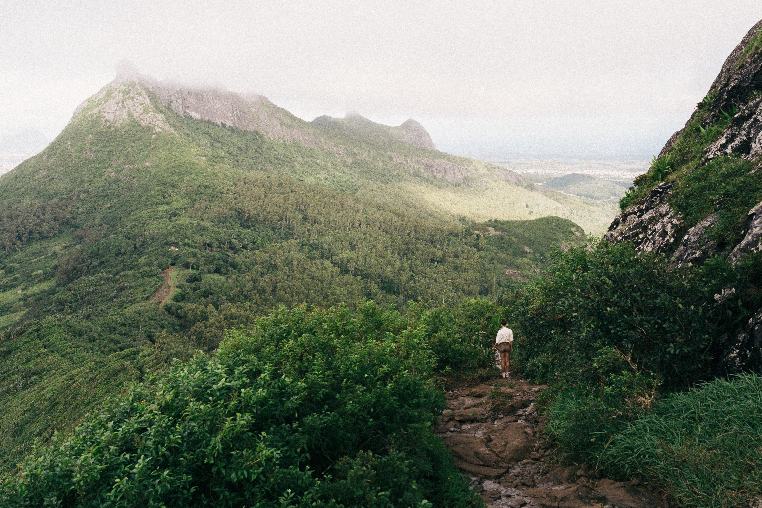 Into the wild